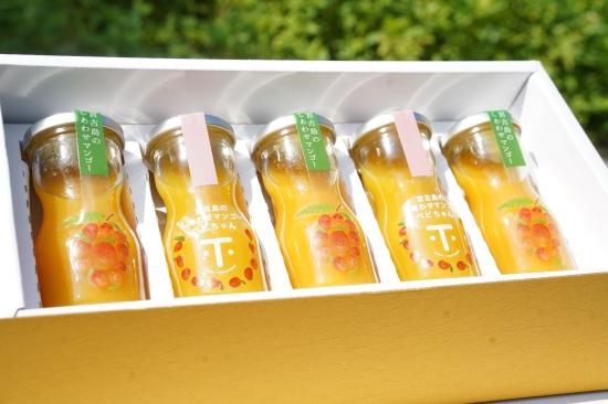 専用出品：色々マンゴー食べ比べセット×２ 専用出品：色々マンゴー食べ比べセット(1)と(2)