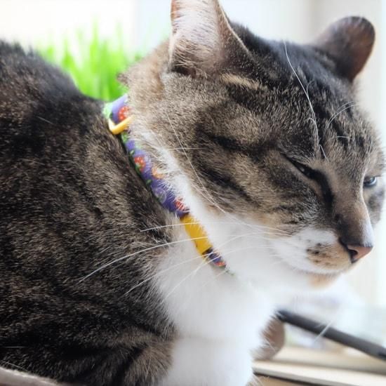 aya＊ 様 猫の首輪 猫ようらく～仏像の首飾りデザインの猫首輪～【室生寺十一面観音