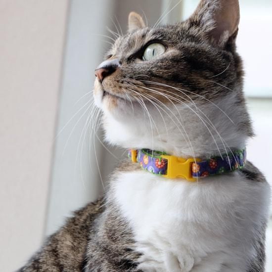 猫の首輪 フラワーキャンディ 猫用品の通販サイト ネコクラマーケット Nekokura Market