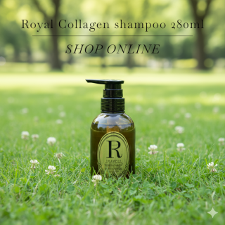 ѥĤ礬ˤʤǻ٥顼󥷥ס280ml