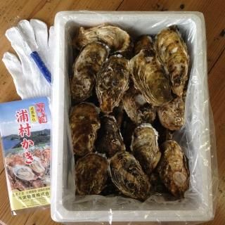 ѡ礭դڡ(100)  *¾ξʤȹ碌ƤΤʸʣΤʸκݤϡĺޤư׻Ȥ̤ᤵĺƤޤΤǤλ