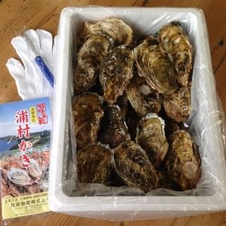 ѡդڡ()*Ȥɲ⤬ޤ¾ξʤȹ碌Ƥʸκݤĺޤư׻Ȥ̤ᤵĺƤޤΤǤλ