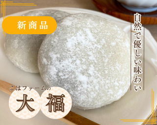 <img class='new_mark_img1' src='https://img.shop-pro.jp/img/new/icons1.gif' style='border:none;display:inline;margin:0px;padding:0px;width:auto;' />եȥå/Хեʡ ξʲ