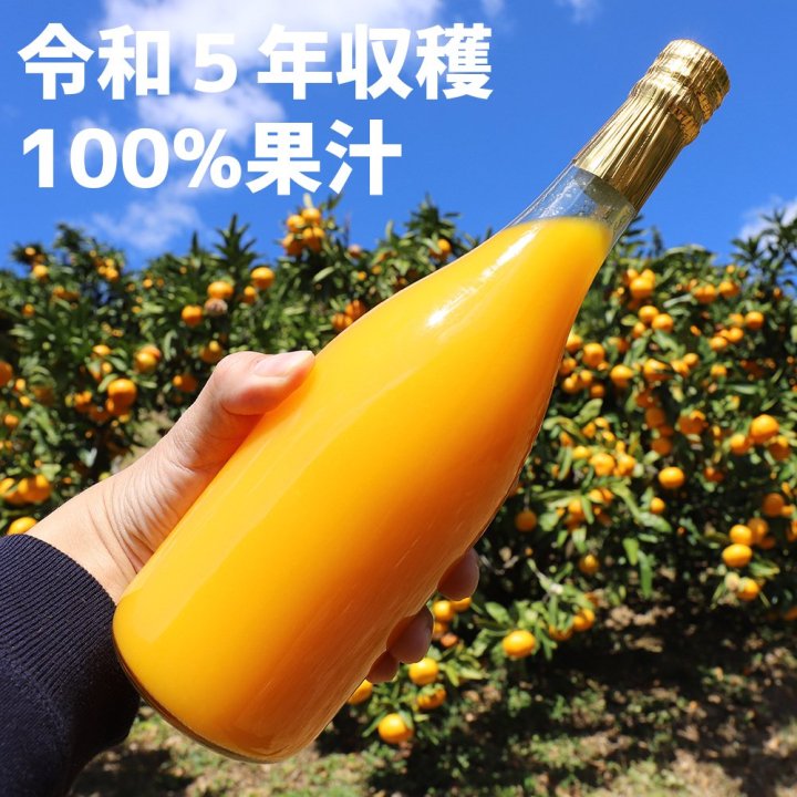 無添加100%温州みかんジュース 1瓶 (720ml) ×3本セット 愛媛県産