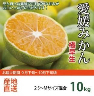 ɲߤΤĮ餪Ϥջζߤ10kg