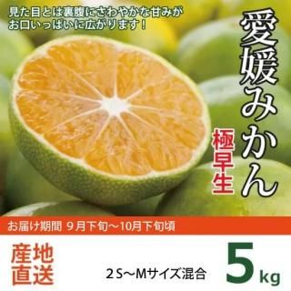 ɲߤΤĮ餪Ϥջζߤ 5kg