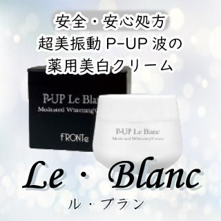 超美振動波P-UPと有効成分で徹底ケア！薬用美白クリーム ル・ブラン