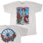 (M) グレイトフルデッド GRATEFUL DEAD バンドTシャツ BERTHA WHEEL & ROSES オフィシャル新品【メール便可】