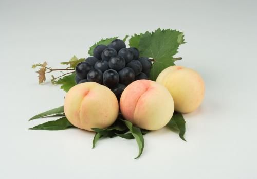 父の日 - 晴富オンラインストア | 高級ギフトショップ「晴富」は