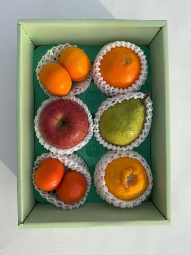 <img class='new_mark_img1' src='https://img.shop-pro.jp/img/new/icons14.gif' style='border:none;display:inline;margin:0px;padding:0px;width:auto;' />ȥåA