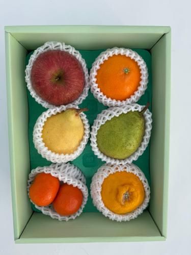 <img class='new_mark_img1' src='https://img.shop-pro.jp/img/new/icons14.gif' style='border:none;display:inline;margin:0px;padding:0px;width:auto;' />ȥåB