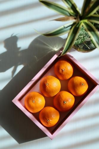 <img class='new_mark_img1' src='https://img.shop-pro.jp/img/new/icons14.gif' style='border:none;display:inline;margin:0px;padding:0px;width:auto;' />ȥץ󥻥5~8̡ˡȯ 3ܰʹߡ