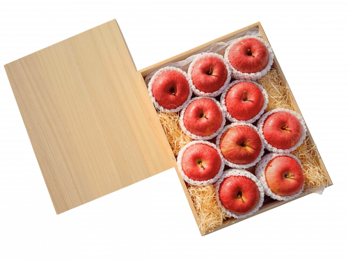 <img class='new_mark_img1' src='https://img.shop-pro.jp/img/new/icons14.gif' style='border:none;display:inline;margin:0px;padding:0px;width:auto;' />ֲ⸶ դȢ(10)