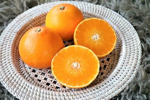 Ȥޤɤʡ3̡<img class='new_mark_img2' src='https://img.shop-pro.jp/img/new/icons14.gif' style='border:none;display:inline;margin:0px;padding:0px;width:auto;' />