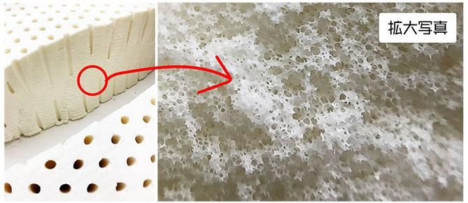 ラテックス寝具の弾力と耐久性はエアセルのおかげ。エアセルは天然ゴムの樹液を加熱して加工する際にできた気泡です。
