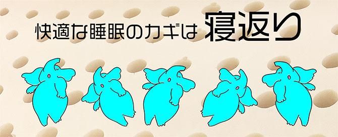 Ŭʿ̲Υ򰮤롢֤ꡣCOMAX JAPANƥŷƥå