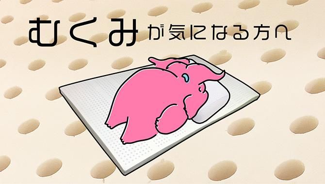 यߤˤʤͤءŷƥåƥCOMAXJAPAN