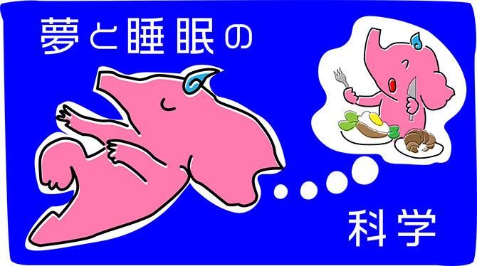 夢と睡眠の科学-COMAX JAPAN、ラテシアちゃんの眠り方改革。