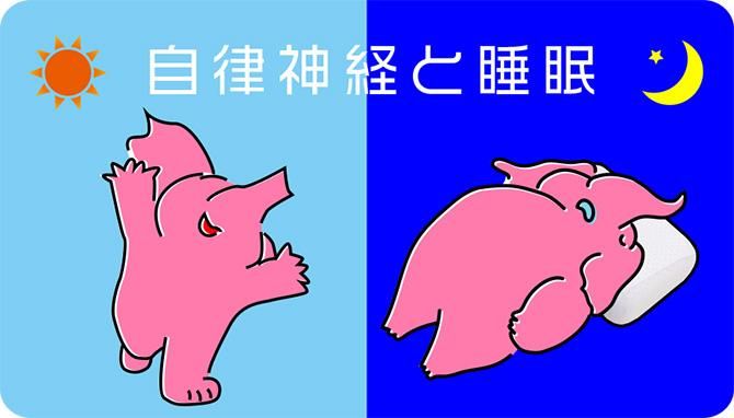 COMAX JAPAN、ラテシアちゃんの眠り方改革。自律神経と睡眠。