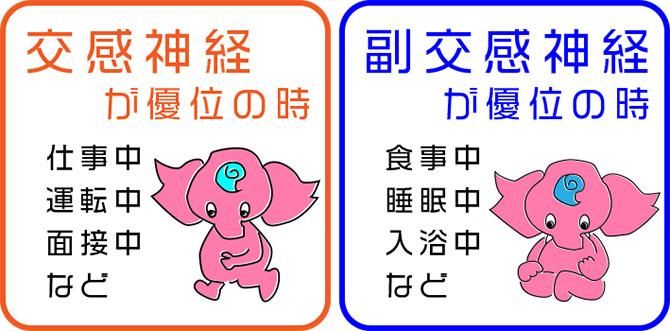 交感神経が優位の時、副交感神経が優位の時、COMAX JAPANラテシアちゃんの眠り方改革。