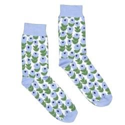 Flora å ֥롼