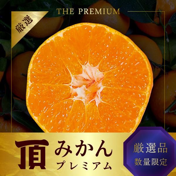<img class='new_mark_img1' src='https://img.shop-pro.jp/img/new/icons51.gif' style='border:none;display:inline;margin:0px;padding:0px;width:auto;' />ĺߤץߥξʲ