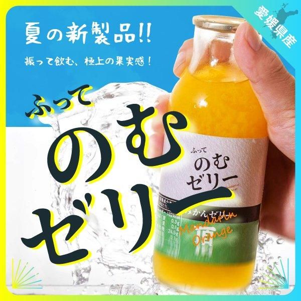 ゼリー - 愛媛みかん通販 ゼリー - 愛媛みかん通販