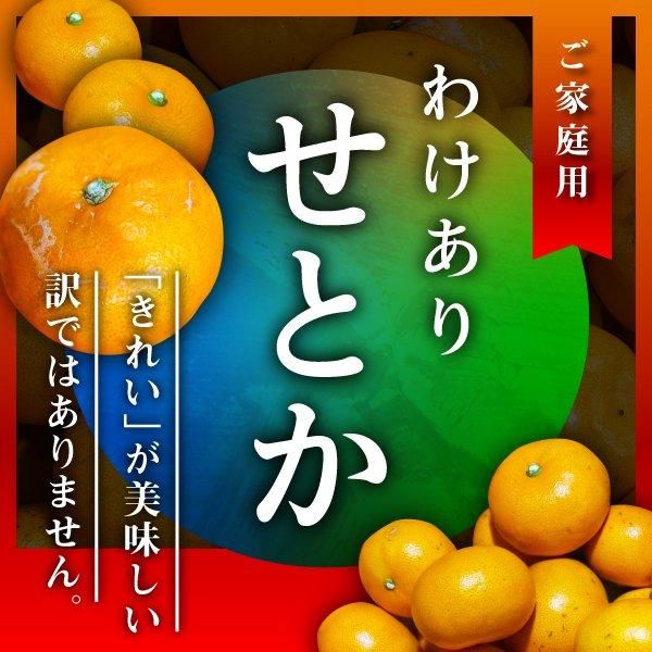 送料無料】(訳あり)せとか 約3kg ☆キズあり サイズ無選別 送料無料】(訳あり)せとか 約3kg ☆キズあり サイズ無選別