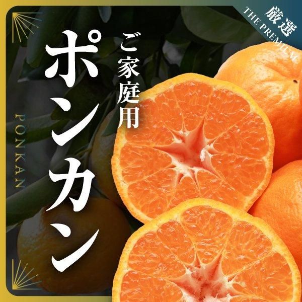 <img class='new_mark_img1' src='https://img.shop-pro.jp/img/new/icons15.gif' style='border:none;display:inline;margin:0px;padding:0px;width:auto;' />ݥ󥫥()ξʲ