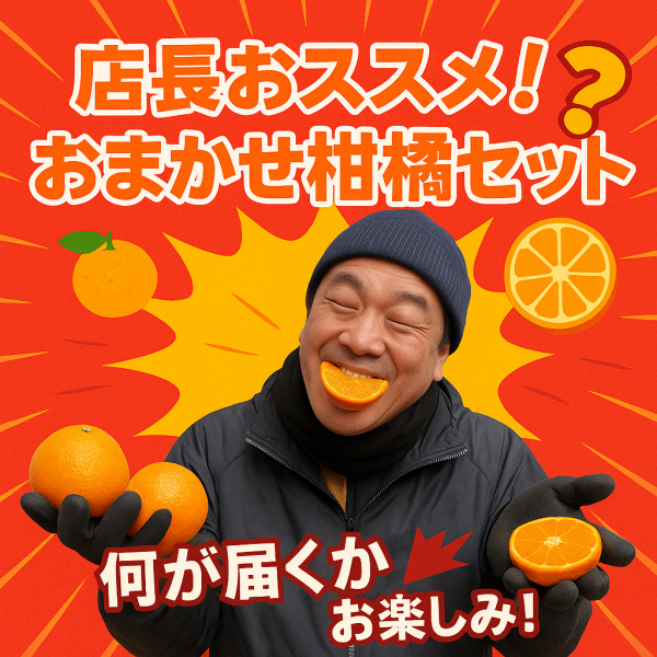 愛媛みかん通販 愛媛みかん通販