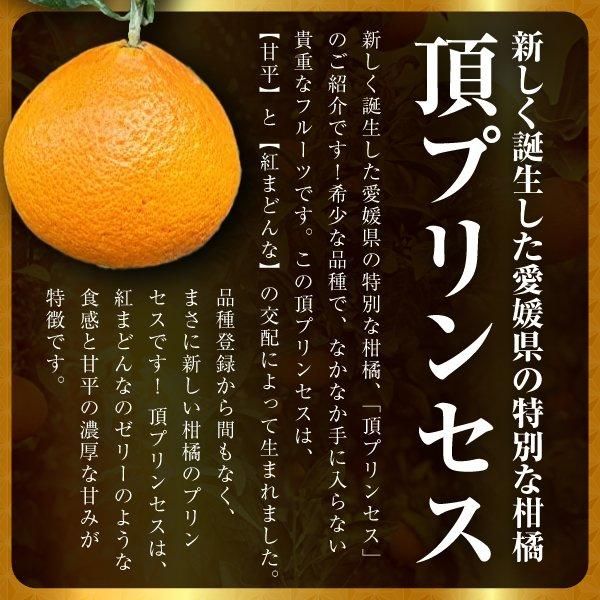 頂プリンセス2kg | 新しい愛媛県特産の希少な柑橘フルーツ