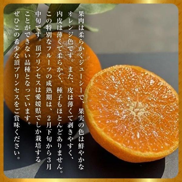 頂プリンセス2kg | 新しい愛媛県特産の希少な柑橘フルーツ