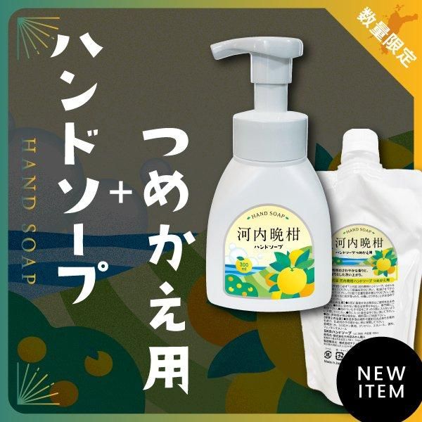 愛媛みかん通販 愛媛みかん通販