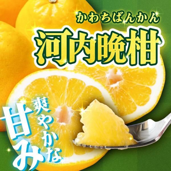 頂甘平ジュース （1本720ml） - 愛媛みかん通販