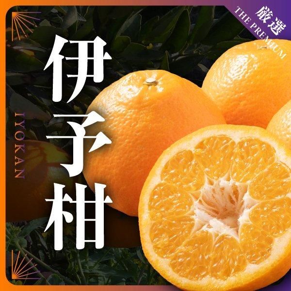 <img class='new_mark_img1' src='https://img.shop-pro.jp/img/new/icons15.gif' style='border:none;display:inline;margin:0px;padding:0px;width:auto;' />ͽξʲ