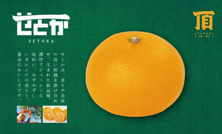 頂 せとか12玉入 約3kg前後 - 愛媛みかん通販 頂 せとか12玉入 約3kg前後 - 愛媛みかん通販