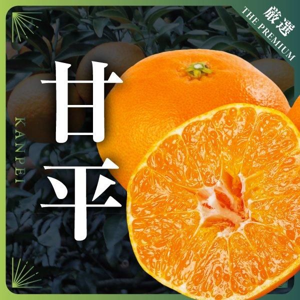 <img class='new_mark_img1' src='https://img.shop-pro.jp/img/new/icons15.gif' style='border:none;display:inline;margin:0px;padding:0px;width:auto;' />ʿξʲ