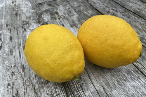 【限定】「レモンの実」フローラルウォーター（芳香蒸留水）｜熊野の香り®