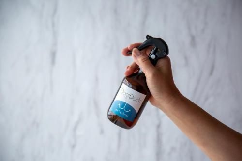  DogDockʥɥåɥå˥եåʡʶ֥ץ졼ˡ÷ι®