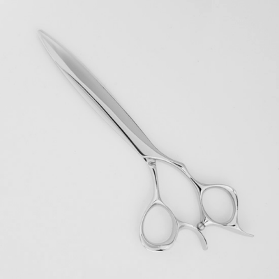 饤ɥåȥ S-1 6.1ڣ〜ְΤϤ