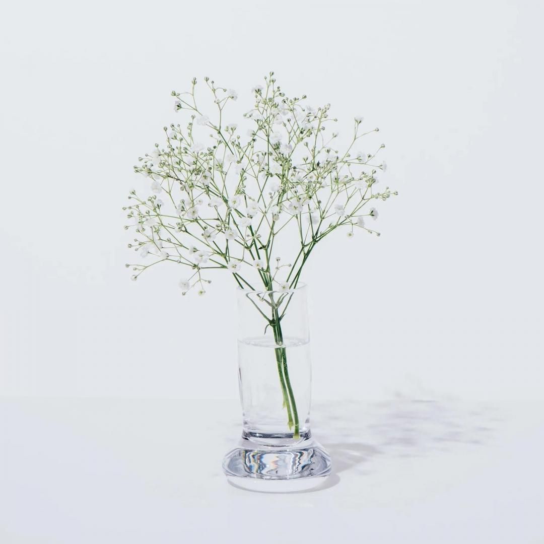 E&Y<br />VASE / TOKONOMAClear