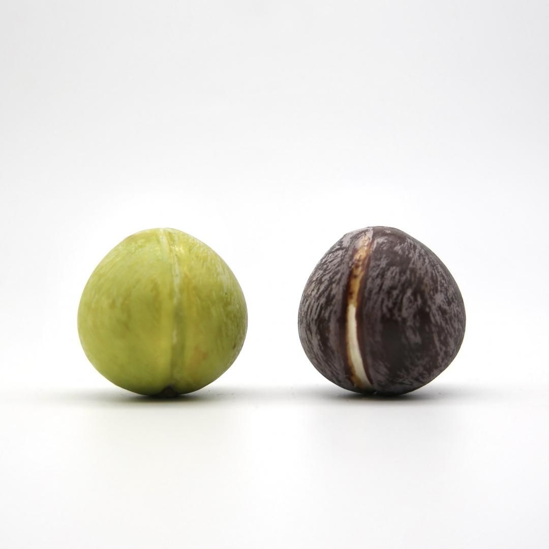 Stone Fruits<br />ץ