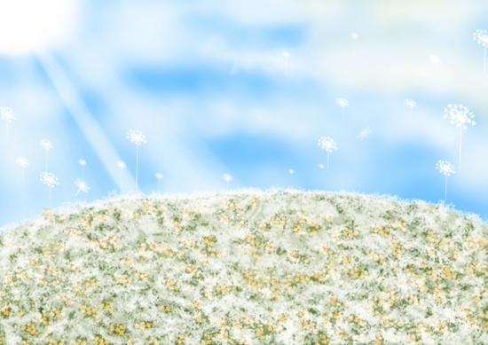 似顔絵用 無料背景 1個 1作品あたり キラキラかすみ草畑 横version 似顔絵 ウェルカムボード専門店 ハピネスライクネス Happiness Likeness