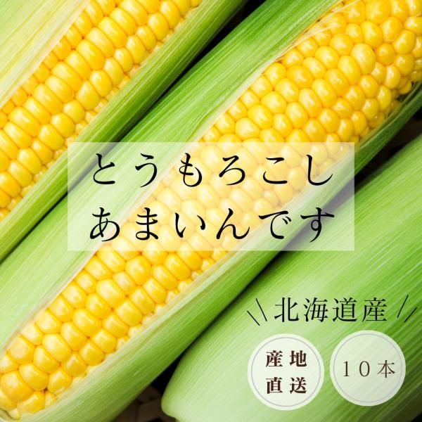 ̳ƻĹĮ硼ΤȤؤޤǤ٣