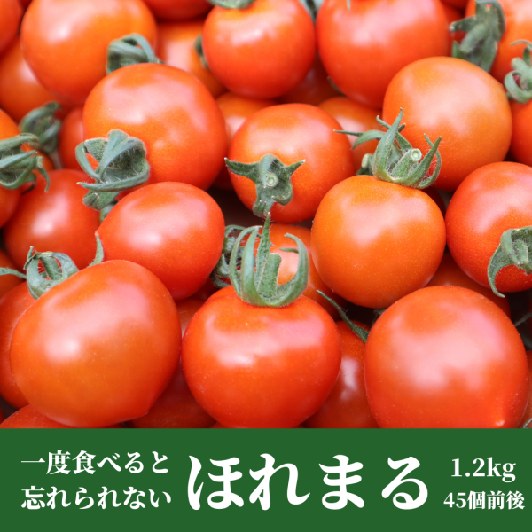 <img class='new_mark_img1' src='https://img.shop-pro.jp/img/new/icons1.gif' style='border:none;display:inline;margin:0px;padding:0px;width:auto;' />ëեΥߥ˥ȥޥȡ֤ۤޤס1.2 45