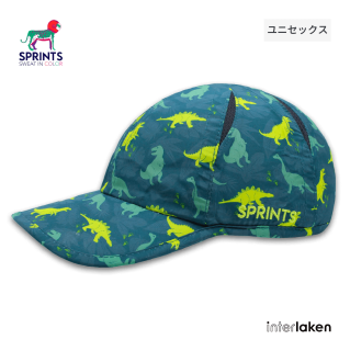 <img class='new_mark_img1' src='https://img.shop-pro.jp/img/new/icons5.gif' style='border:none;display:inline;margin:0px;padding:0px;width:auto;' />O.G.HATS SWEET-O-SAURUS | SPRINTS