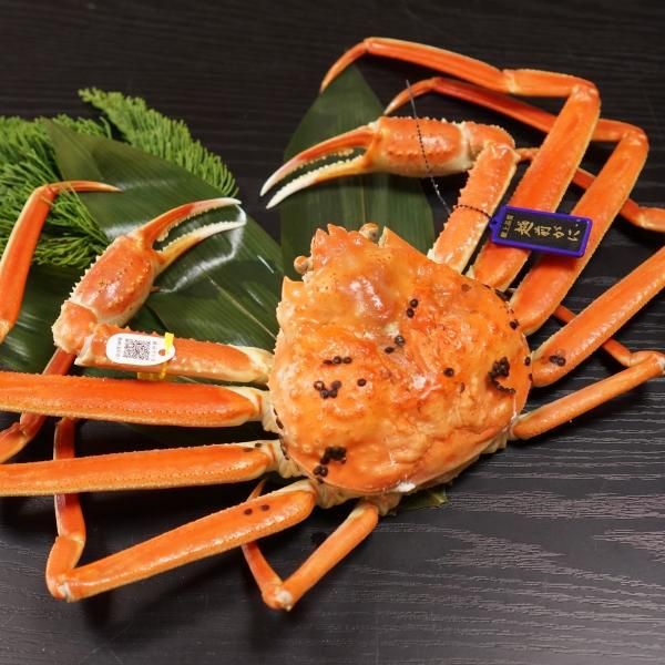 献上品質ずわいがに【超特大サイズ】献上品質タグ付(1.3－1.4kg
