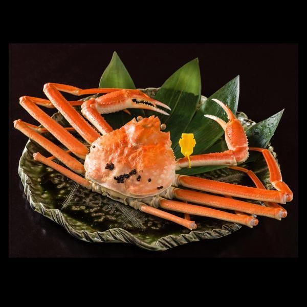 名古屋帯 蟹 大サイズ】ずわいがに(800－900g) - 越前がに・海産物販売【日本