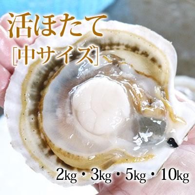 青森県野辺地産むつ湾活ホタテ 青森県野辺地産むつ湾活ホタテ