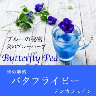 青の魅惑   バタフライピー 5g